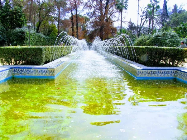 Gökyüzü, ağaç, karayolu, mimari, bina, seyahat, ev, la palma, şehir, manzara, sokak, ağaç, meyve bahçesi, doğa, yaz, park, şehir, ev, gündüz, tatil