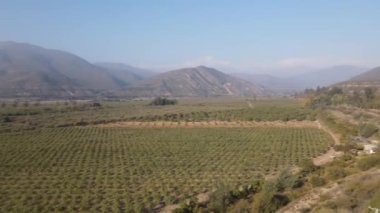 Rancagua 'nın tarlalarından geçerek Rio los Cipreses Ulusal Rezervi' ne gidiyoruz.