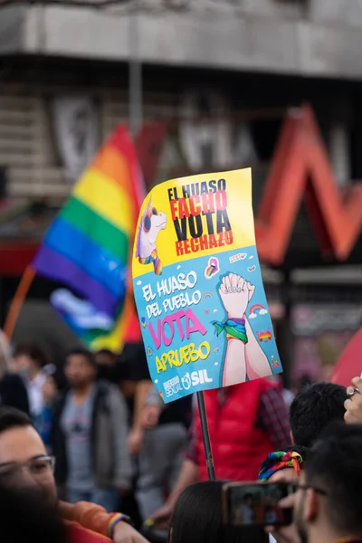 Marcha Por Igualdad Género Chile Orgullo 2022 Foto Alta Calidad —  Fotos de Stock