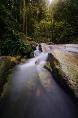 Ormanda güzel bir şelale