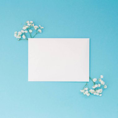 Mavi arka planda çiçekleri olan doğal bir arka plan. Düz yat, boşluğu kopyala
