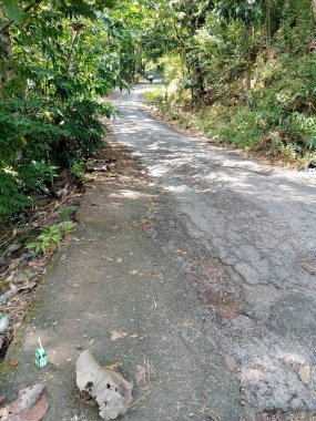 Bambu ormanındaki asfalt yolda başka bir ağaç ve çeşitli yaprak kullanılabilir.