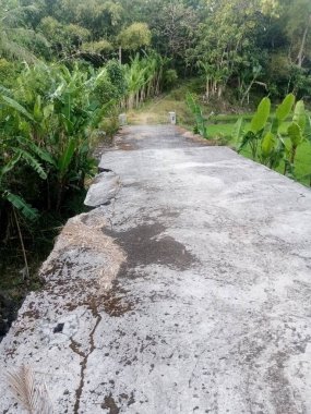 Beton yola küçük bir köprü ile devam edilir ve çevredeki ormana giden toprak yol yoğun bitki örtüsüdür ve arka plan olarak tarım kullanılabilir.