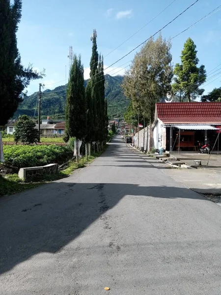 Yeşil Dağ Manzaralı Açık Mavi Gökyüzü Bitki Örtüsü Selvi Ağaçları — Stok fotoğraf