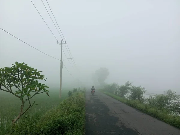 Route Asphaltée Vers Obscurité Brouillard Épais Milieu Des Rizières Avec — Photo