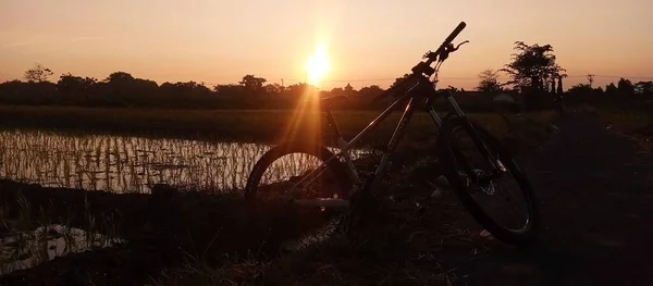 Boyolali Central Java Indonesia March 2022 Morning Sky Sunrise Ricefield — Photo