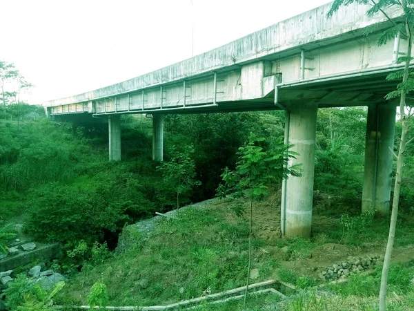 Photo White Sky Bridge Ravine Middle Forest Dense Vegetation White — ストック写真