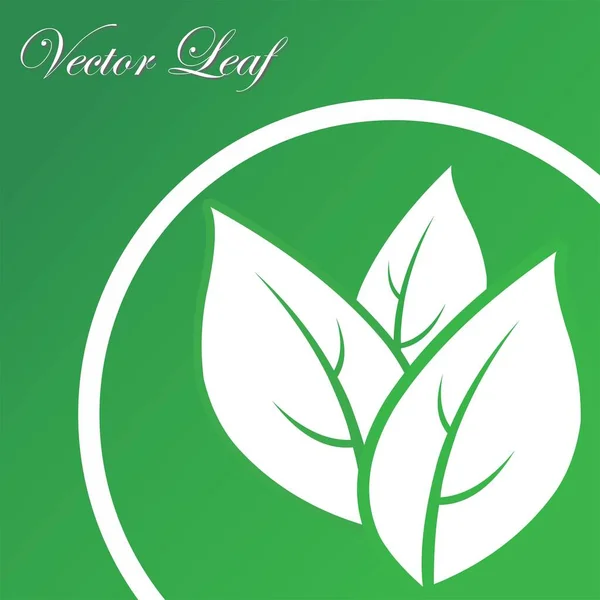 vektör yaprağı logosu doğa sembolleri ve diğerleri için uygun