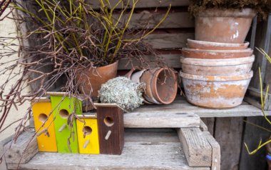 bahar kompozisyonu. Renkli kuş evleri, kenar çiçek saksıları.