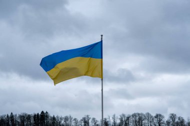 Ukrayna bayrağı. Ukrayna mavi ve sarı bayrağı. Mavi gökyüzü ve beyaz bulutların arkaplanı. Ukrayna 'nın ulusal bayrağı