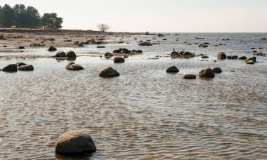 Baltık Denizi kıyılarında. bahar, taşlar