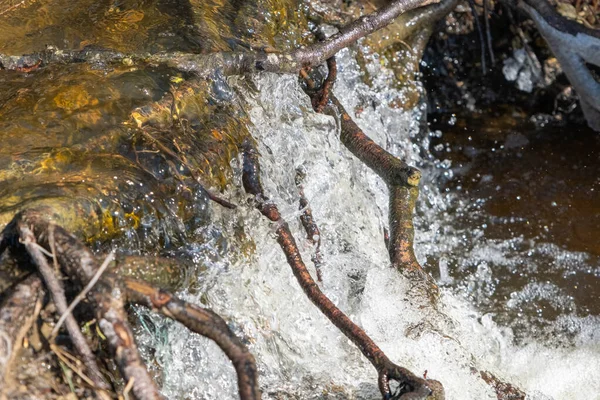 Cool Flowing Water Natural Stream Early Spring — Stock Photo, Image