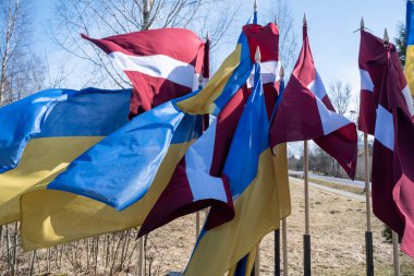 Ukrayna ve Letonya bayrakları. Savaşa ve küresel askeri çatışmaya karşı protesto, Riga, Avrupa 'da işgal
