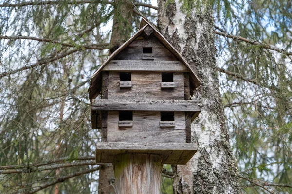 Grandes Pajareras Valla Madera Rústica Primer Plano Hermosa Casa Madera — Foto de Stock