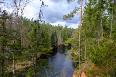 Nisan ayında Letonya 'nın Mazsalaca kentindeki Skanaiskalns Doğa Parkı' ndaki yüksek kumtaşı uçurumundan Salaca nehrine bakın.