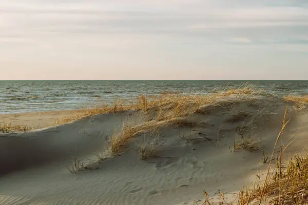 Renkli yaz günbatımında Baltık kıyıları.