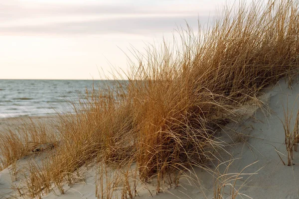 Ostseeküste Bei Buntem Sommersonnenuntergang — Stockfoto