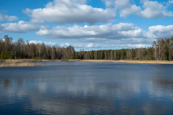 Gölü ve ormanı olan bahar manzarası. Letonya.