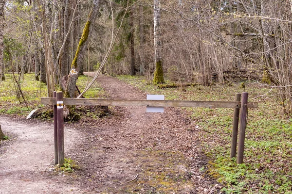 Barrier Entrance Forest Wooden Fence Barrier Woodland —  Fotos de Stock