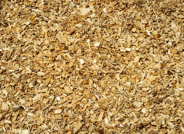Textura Lascas Madeira Fundo Biomassa Madeira Aparas Para Fumar Reciclar — Fotografia de Stock