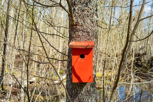 Beautiful Red Bird House Tree Park — Stockfoto