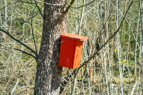 Una Hermosa Casa Pájaros Rojos Árbol Parque — Foto de Stock