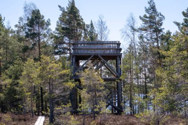 Göl bataklığının kıyısındaki izleme platformu. Kuş gözlemi.