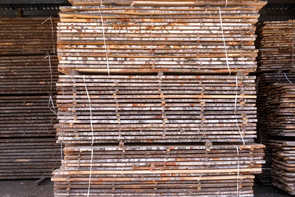 Tahta yığını, işlenmemiş huş kütükleri, yakın plan, bulanık bir arka plan..