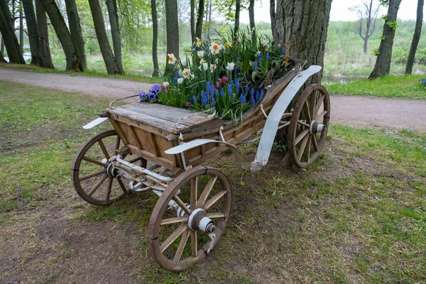 古い馬車かカート 夏の日 伝統的な農村部の馬の馬車 馬車は花で赤くなっている 馬車だ レトロな木製ホイール 庭と芝生の装飾 — ストック写真