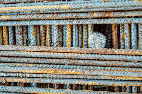 Metal fittings for reinforced concrete. Main construction materials. Background and rusty iron reinforcement rods. Red orange color of iron oxide on reinforcement bars.