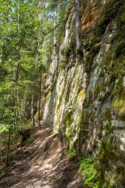Kum taşı kayalıkları yaklaşık bir kilometre uzunluğundadır ve Gauja Nehri 'nin ilkel vadisinin sol tarafında yer alır. Letonya.