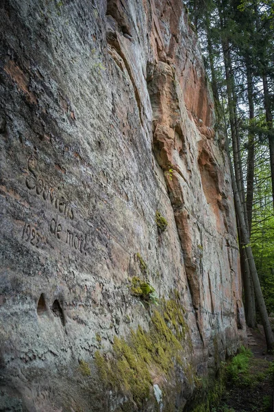 砂岩の崖は長さ約1キロメートルあり ゴージャ川の原生谷の左側に位置している ラトビア — ストック写真