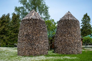 Kış için yakacak odun hazırlıyorum. Yakacak odun geçmişi, ormanda yakacak odun yığınları. Yakacak odun yığını