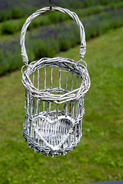 Beautiful White Decorative Metal Basket Hanging Sunny Summer Garden Blooming — Foto Stock