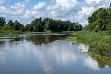 Emajogi, Estonya 'nın en büyük nehri. İkinci büyük şehir Tartu 'dan geçiyor. Yaz zamanı güzel manzara ortamı.