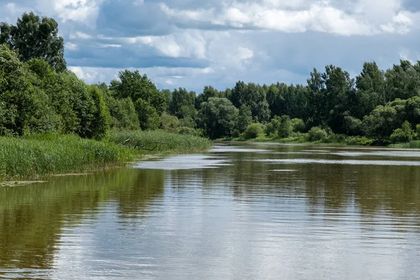 Emajogi Largest River Estonia Flows Second Largest City Tartu Summer — Stockfoto