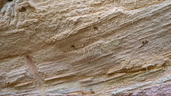 Gri ve kahverengi hakiki kumtaşı arka plan, gerçek plaj kaya deseni. Gauja Ulusal Parkı 'nda Letonya doğası tarafından oluşturulmuş harika bir kaya yapısı..