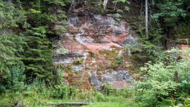 Mirror cliffs and an old river channel in a very beautiful forest in Cirulu nature trails, Latvia