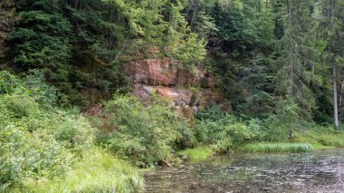Mirror cliffs and an old river channel in a very beautiful forest in Cirulu nature trails, Latvia