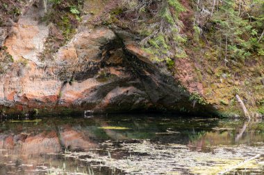 Mirror cliffs and an old river channel in a very beautiful forest in Cirulu nature trails, Latvia