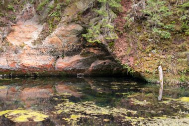 Mirror cliffs and an old river channel in a very beautiful forest in Cirulu nature trails, Latvia