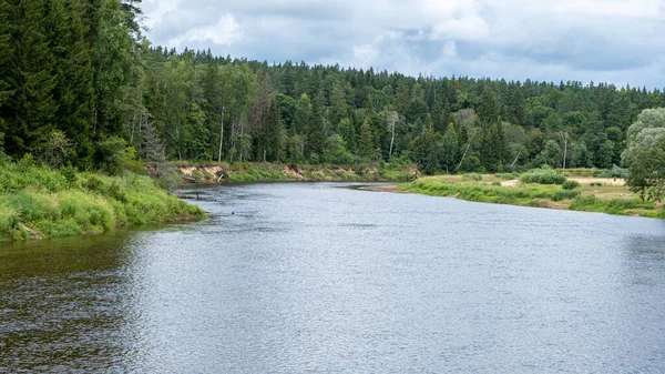 Klidná Řeka Odrazy Stromů Vodě Jasně Zelené Olistění Létě Lese — Stock fotografie
