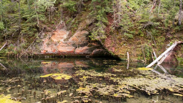 Mirror Cliffs Old River Channel Very Beautiful Forest Cirulu Nature — Stockfoto