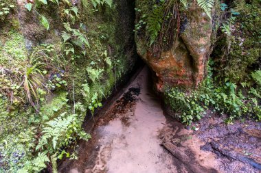 Natural spring with mineral drinking water in the wild with stones overgrown with moss
