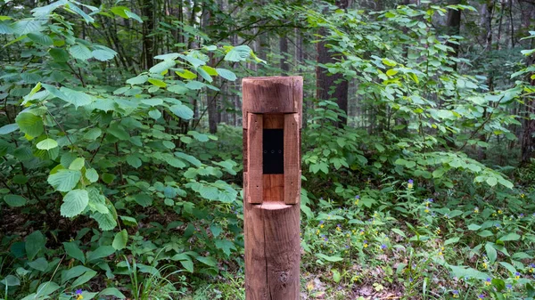 Tourist Counter Located Forest Tourist Trail Which Counts Visitors Nature — Stockfoto