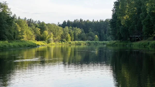 Calm River Reflections Trees Water Bright Green Foliage Summer Forest — Stock fotografie