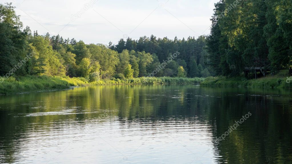 calm river with reflections of trees in the water in bright green foliage in summer in the forest near Strenciem, Latvia. Gauja river in the evening sun
