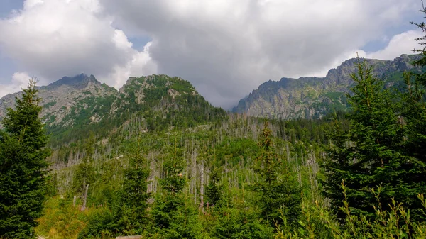 Blue haze in the mountains before the storm. Vysoke Tatry, High Tatras mountain view at Hrebienok, Stary Smokovec, in summer. High Tatras mountain, Slovakia.