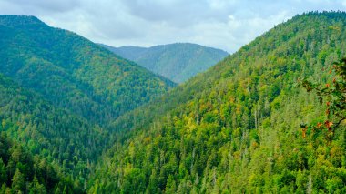 A view of the most beautiful mountains in a panoramic scene. View from Tomasovsky Vyhlad in Slovak Paradise National Park. A blue haze is in the air