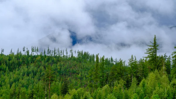 Clouds in the Tatra mountains before the storm. Evergreen spruce forests at the foot of the mountains in the High Tatras. Beautiful mountain scenery in Carpathian. Morning in the mountains. Clouds over the Tops.